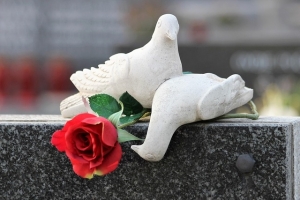 white-doves-3754910_640